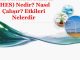Hidroelektrik Santraller Nasıl Çalışır?