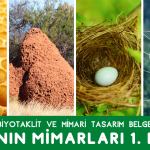 teknoloji ve tasarım biyotaklit mimari belgesel