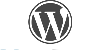 WordPress Güncelleme Hatası -Bazı dosyalar kopyalanamadığı için güncelleme yapılamıyor.