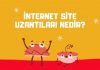 İnternet Site Uzantıları Nedir?
