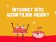 İnternet Site Uzantıları Nedir?