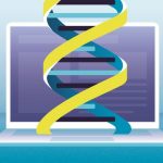 Whole-genome-synthesis