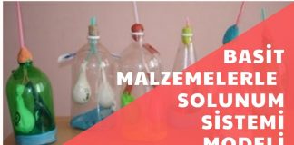 Basit Malzemelerle Solunum Sistemi Modeli Nasıl Yapılır?