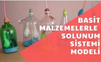 Basit Malzemelerle Solunum Sistemi Modeli Nasıl Yapılır?