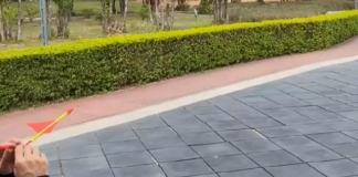 Üflemeli Uçak Modeli Nasıl Yapılır ?
