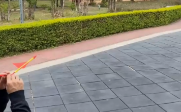 Üflemeli Uçak Modeli Nasıl Yapılır ?