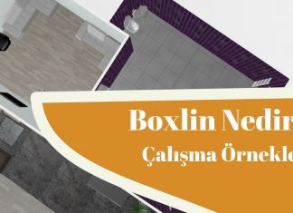Boxlin Nedir? Tanıtım ve Örnek Çalışmalar – Rüveyda Özer