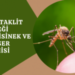 biyotaklit