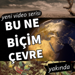 bu ne biçim çevre