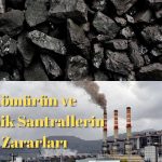 Kömürün ve Termik Santrallerin Zararları