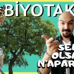 sen olsan napardın biyotaklit