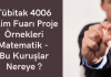 Tübitak 4006 Bilim Fuarı Proje Örnekleri Matematik – Bu Kuruşlar Nereye ?