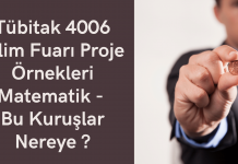 Tübitak 4006 Bilim Fuarı Proje Örnekleri Matematik – Bu Kuruşlar Nereye ?