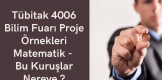 Tübitak 4006 Bilim Fuarı Proje Örnekleri Matematik – Bu Kuruşlar Nereye ?