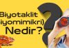 Biyotaklit yada Biyomimikri Nedir?